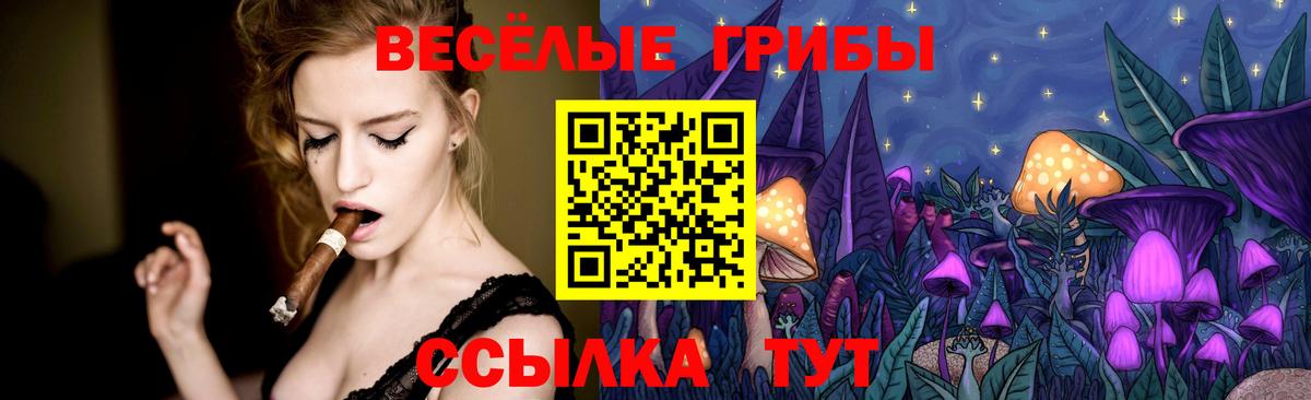 Галлюциногенные грибы Psilocybine cubensis  Вход с VPN  Балашиха 